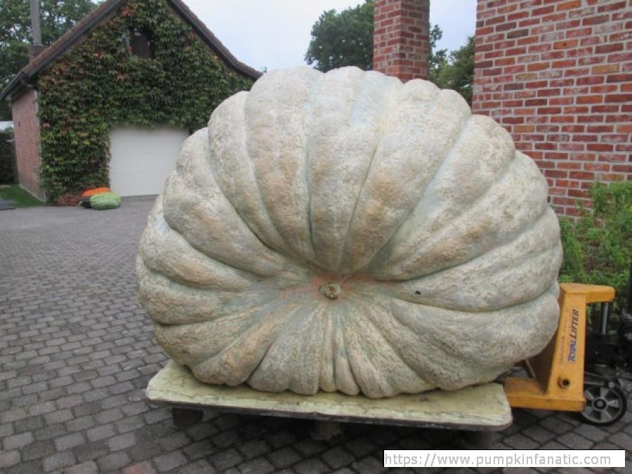 fruitImages/1743.9 Berrens 2025B.jpg